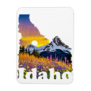 Search for idaho magnets Nature