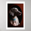 Search for weimaraner gifts Animals