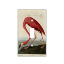 Search for flamingo light switch covers Bird