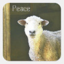 Search for lamb stickers rustic