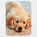 Search for golden retriever baby blankets Animal