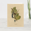 Search for sparrow cards Illustration