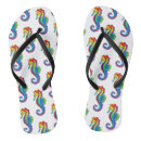 Search for horse shoes Sea
