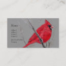 Search for cardinal bird business cards Profile