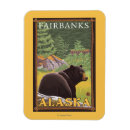 Search for native american bear Black