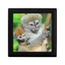 Search for bamboo gift boxes Animal