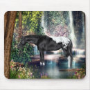 Search for horse mousepads Appaloosa