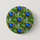 Search for butterfly buttons Nature