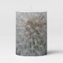 Search for dandelion candles Flowers