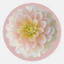 Search for housewarming stickers Pink