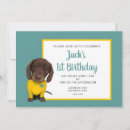Search for dachshund invitations Fun