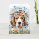 Search for beagle cards Pets
