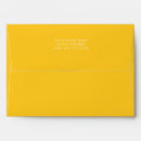 Search for solid color envelopes Simple