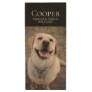 Search for cute usb flash drives Pets