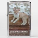 Search for cat lighters Funny