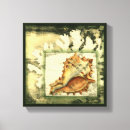 Search for seashells sea shells canvas prints Beach