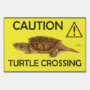 Search for caution signs Crossing