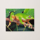 Search for monkey puzzles Colorful