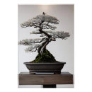Search for bonsai posters Zen
