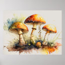 Search for mushroom art Amanita muscaria