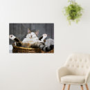 Search for inspirational cat posters Kitten