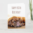 Search for 60th dog birthday cards Humor