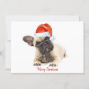 Search for french bulldog cards Cute dog