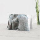 Search for elephant birthday cards Humor