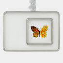 Search for yellow butterflies ornaments Butterfly