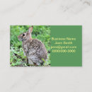 Search for rabbit business cards Wildlife