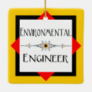 Search for environmental ornaments Pollution