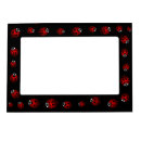 Search for red picture frames Ladybug