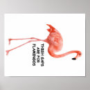 Search for flamingo quotes posters Flamingos