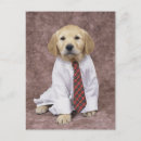 Search for golden retriever postcards Sitting
