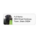 Search for labrador return address labels Black labrador retriever