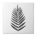 Search for fern tiles Nature