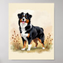 Search for australian shepherd posters Animals