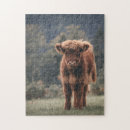 Search for highland cow puzzles Calf