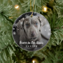 Search for dog pet memorial ornaments Remembrance