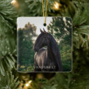 Search for horse ornaments modern