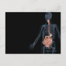 Search for transparent postcards Front