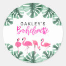 Search for flamingo stickers Pink flamingos