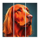 Search for pet portraits Cute