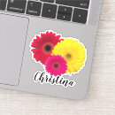 Search for name laptop skins Colorful