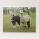 Search for alpaca puzzles Farm animal