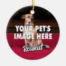 Search for best dog dad ornaments Dogs