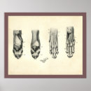 Search for dog art Canine