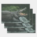Search for alligator wrapping paper Crocodiles