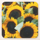 Search for sunflower coasters Flower head