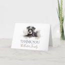Search for schnauzer thank you cards Pet